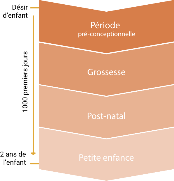 graphique_mobile