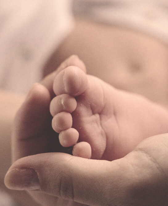 klara-kulikova-o1rq5GwVorY-unsplash